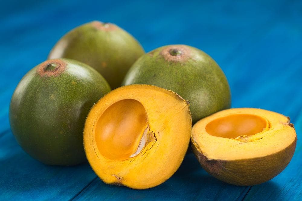 Foto de Lúcumo Pouteria lucuma